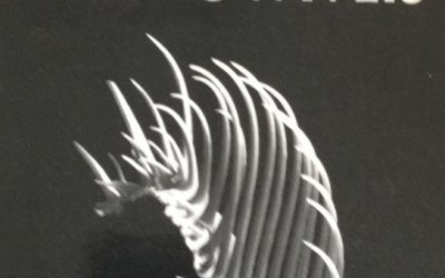 De Pedro Garcia, Gênese