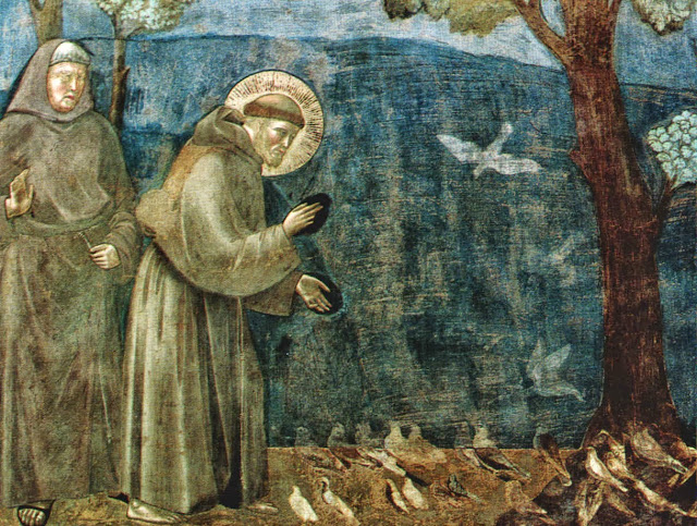 Das Leben des Franz von Assisi in Fresken von Giotto